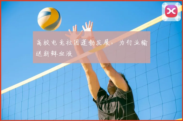 高校电竞社团蓬勃发展,为行业输送新鲜血液