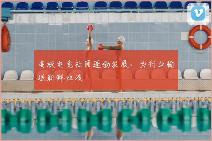高校电竞社团蓬勃发展，为行业输送新鲜血液